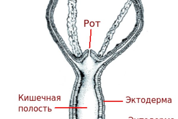 Kraken 13at сайт