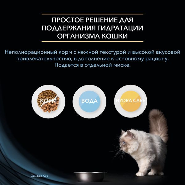 Пользователь не найден кракен