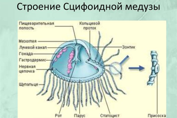 Рабочая ссылка на кракен