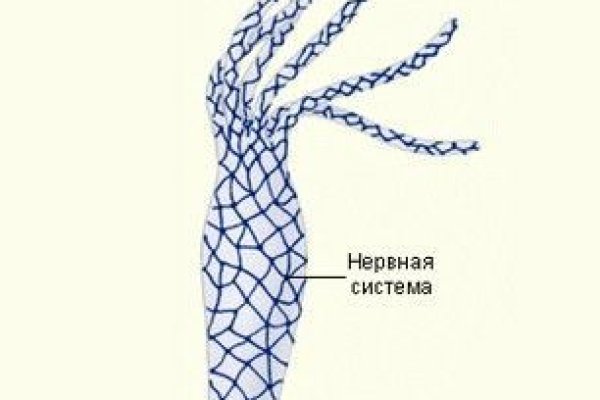 Кракен аватарка маркетплейс